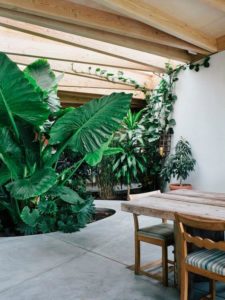 Jardines de interior | Blog de DSIGNO