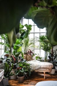 Jardines de interior | Blog de DSIGNO
