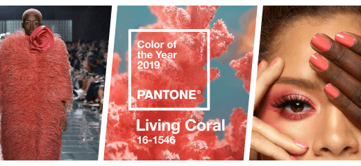 collage coral vivo