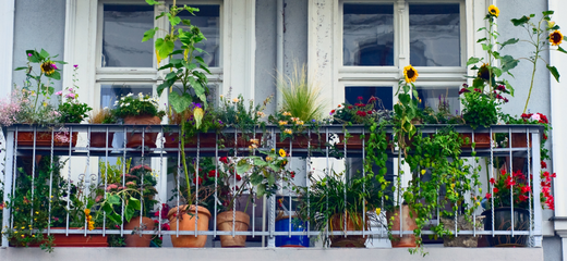 Cómo diseñar un balcón con plantas y flores