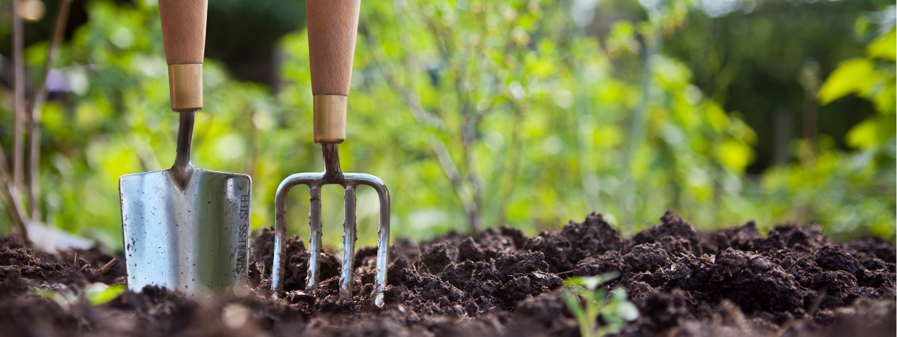 Historia de la jardinería y el paisajismo